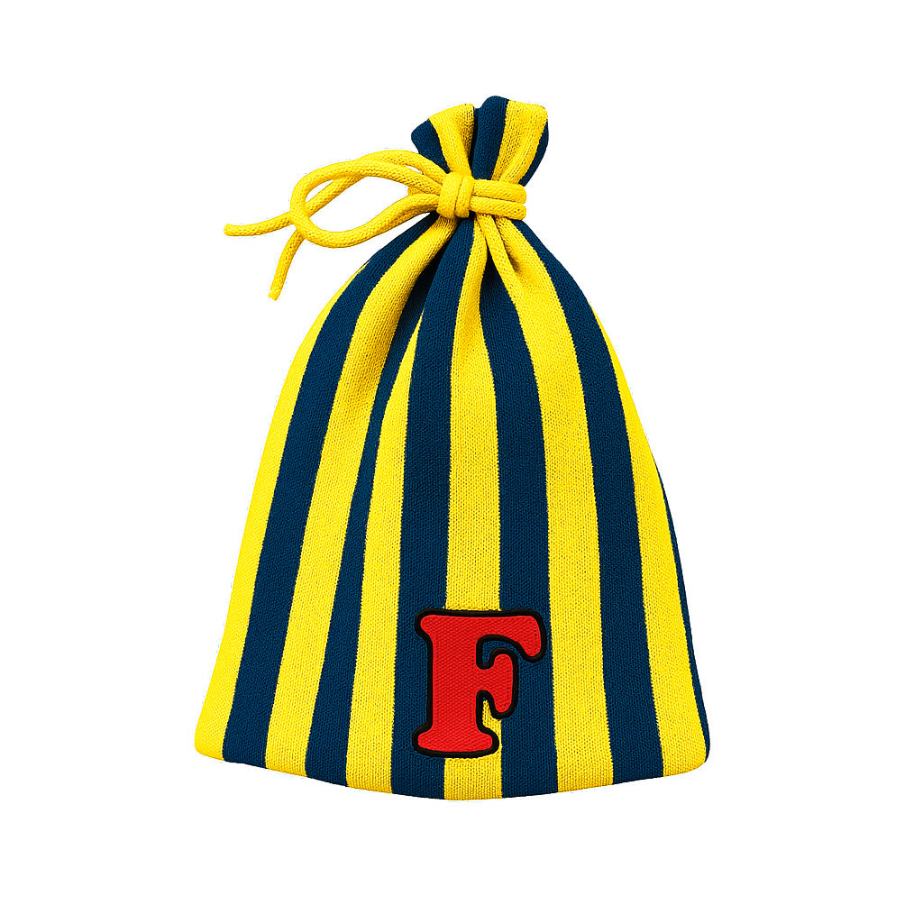 Michigan Pinstripe Beanie